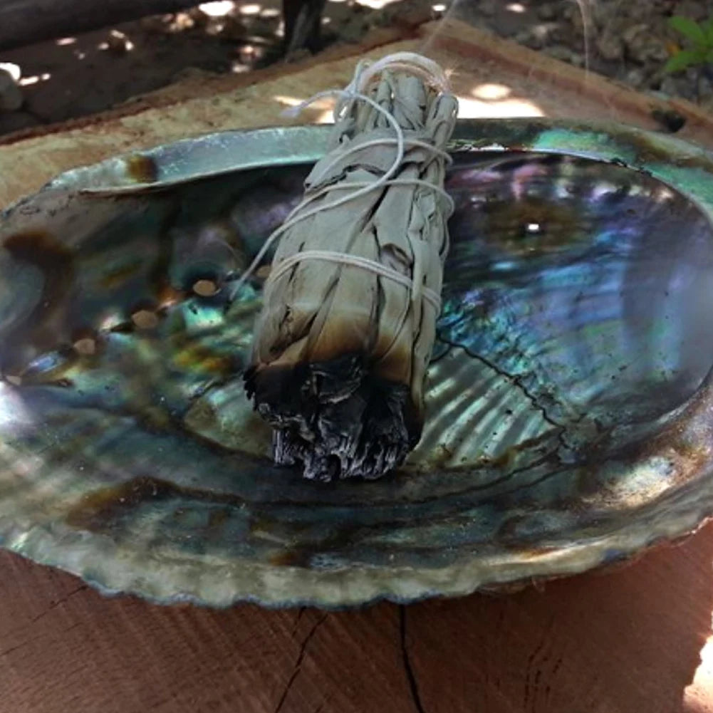 Natural White Sage Bundles Smudge Sticks Indoor Purification Smoking Aroma Leaf Bundle Sage Smudge Sticks for Home Cleansing