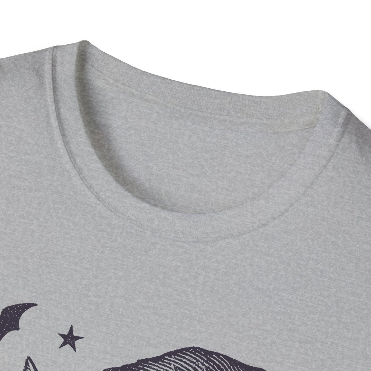 Halloween Cat T-Shirt, HISS OFF Shirt